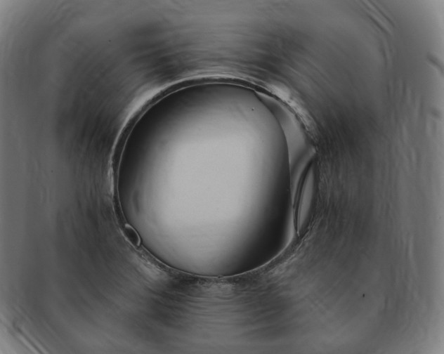 X0000091301372200708241041