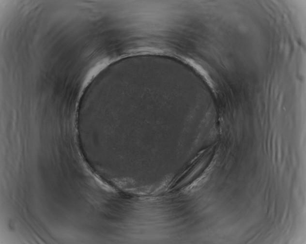 X0000091301373200708241041