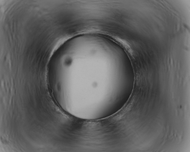 X0000091301374200708241041