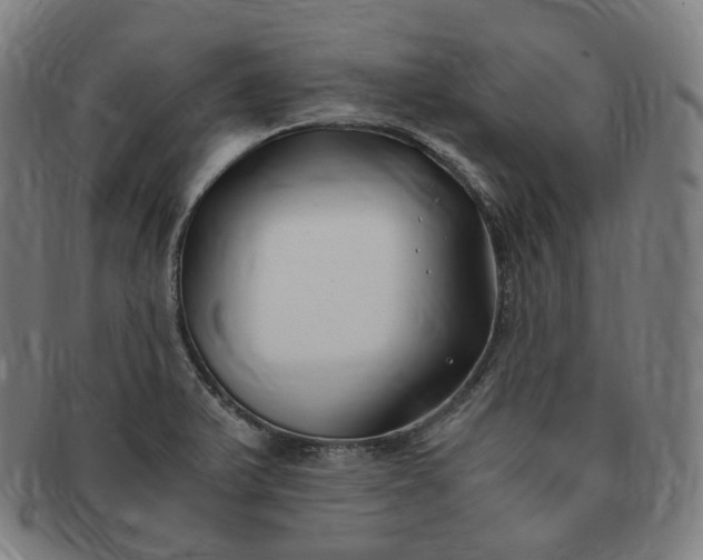 X0000091301375200708241041