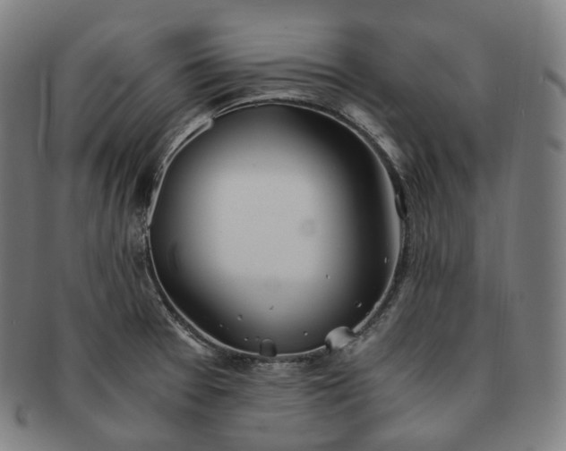 X0000091301377200708241041