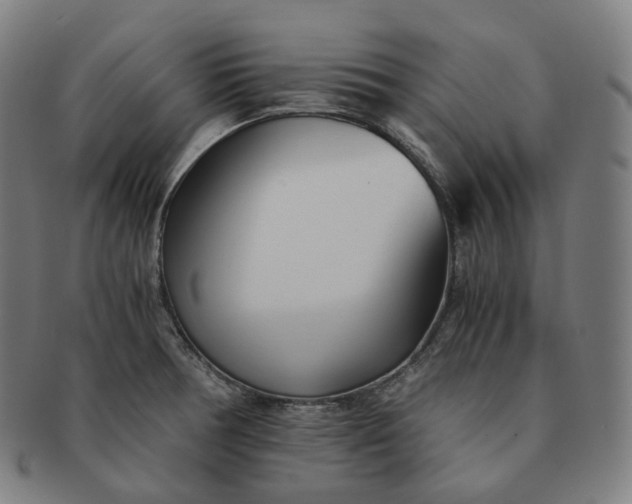 X0000091301378200708241041