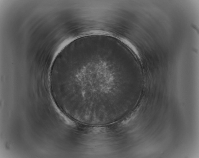 X0000091301381200708241041