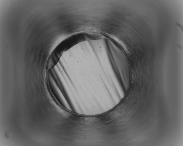 X0000091301383200708241041