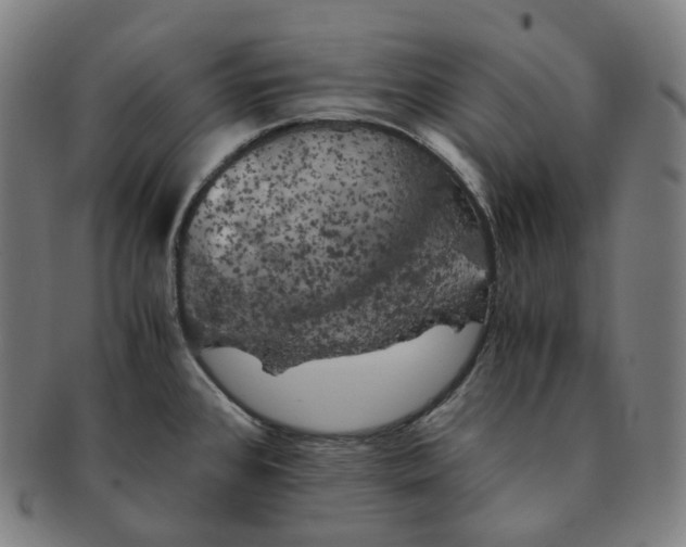 X0000091301384200708241041