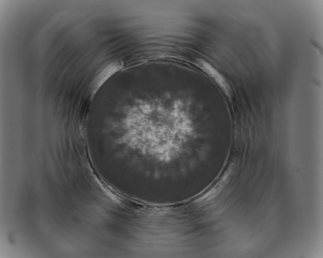 X0000091301385200708241041