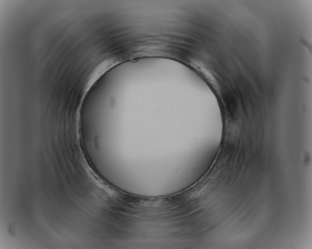 X0000091301386200708241041