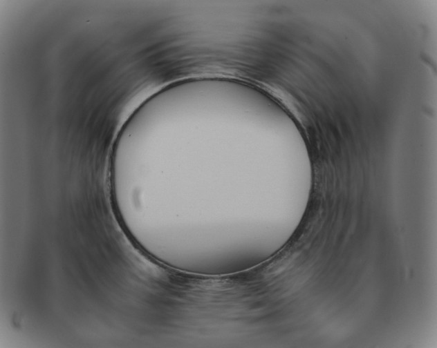 X0000091301387200708241041