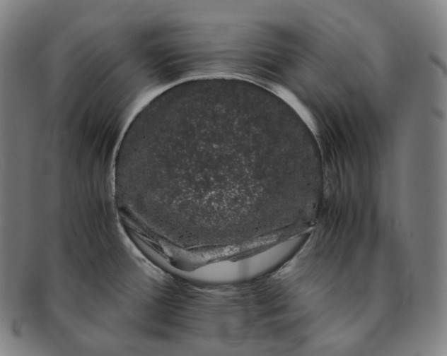 X0000091301388200708241041