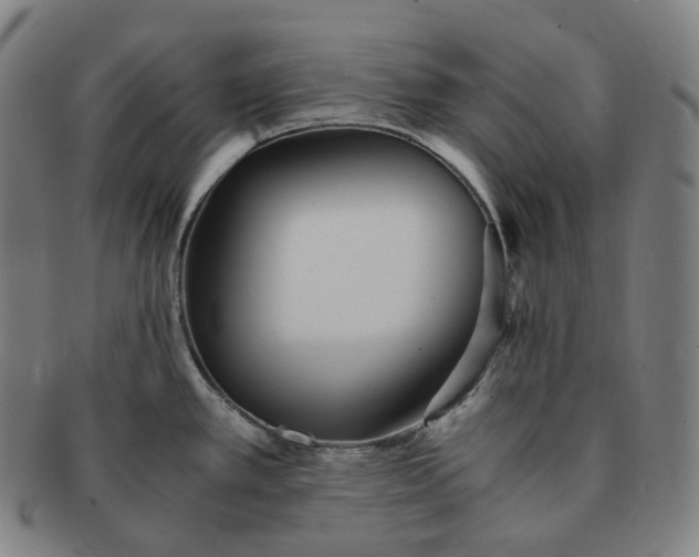 X0000091301389200708241041