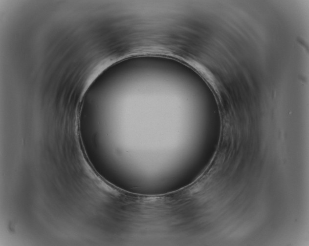 X0000091301390200708241041