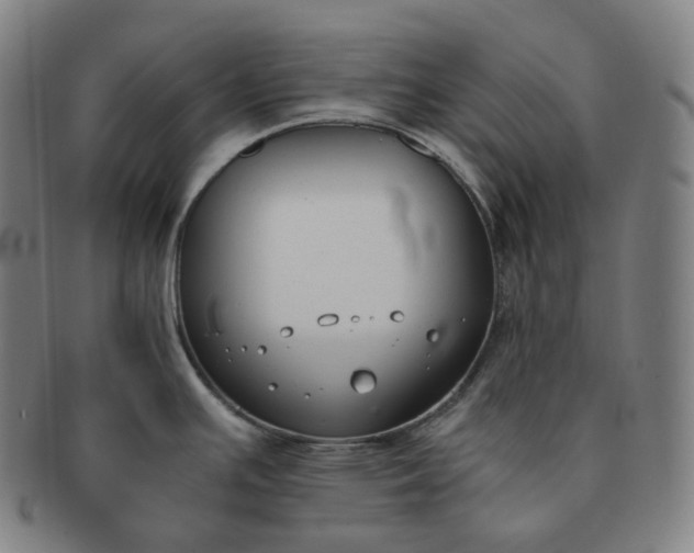 X0000091301391200708241041