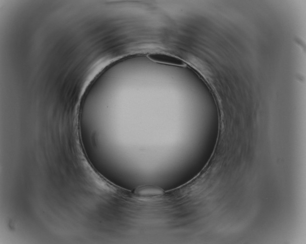 X0000091301392200708241041