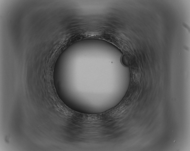 X0000091301393200708241041