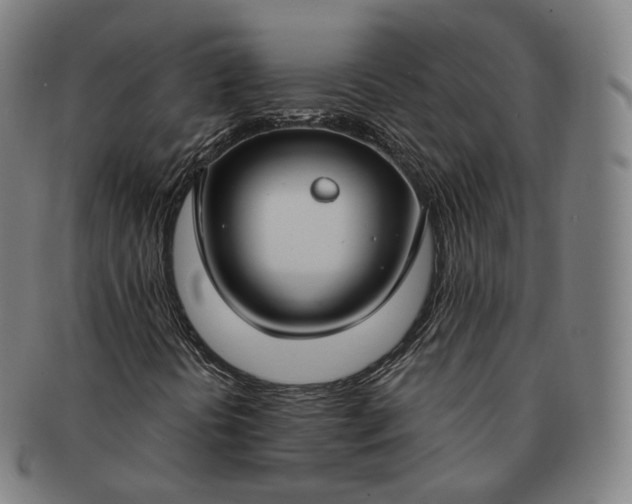 X0000091301394200708241041