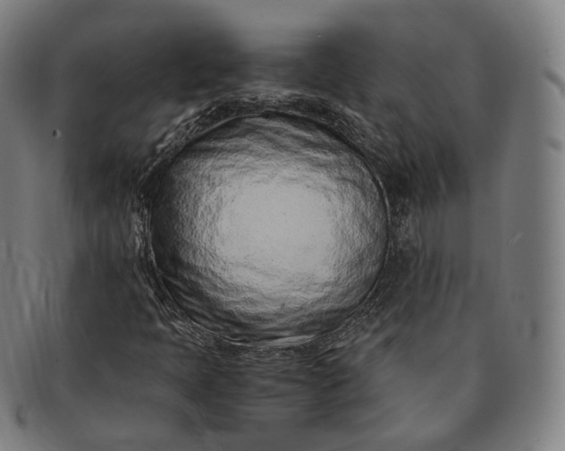 X0000091301397200708241041