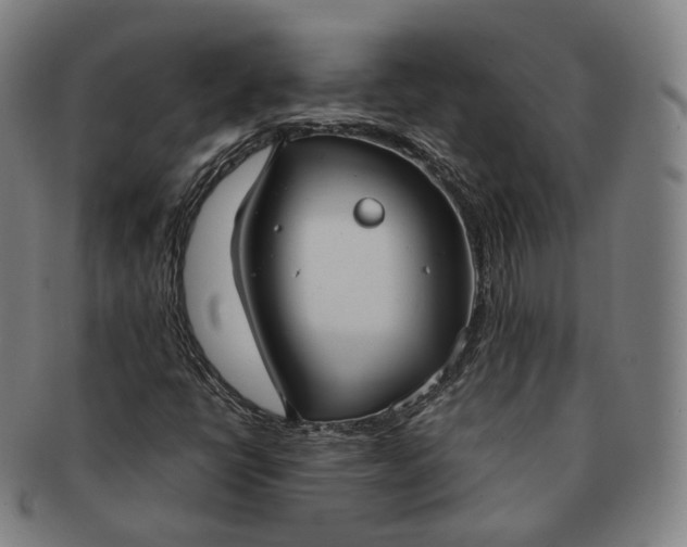 X0000091301398200708241041