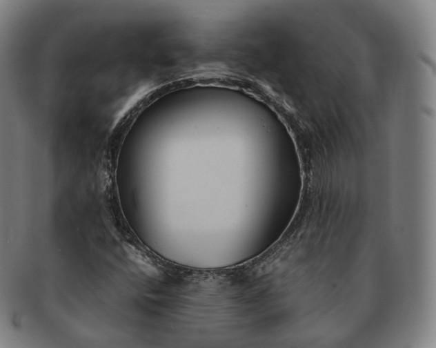 X0000091301400200708241041