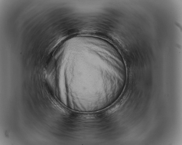 X0000091301401200708241041