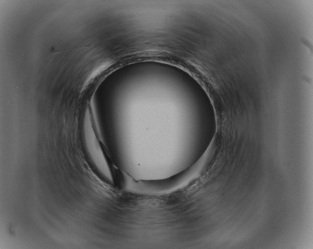 X0000091301402200708241041