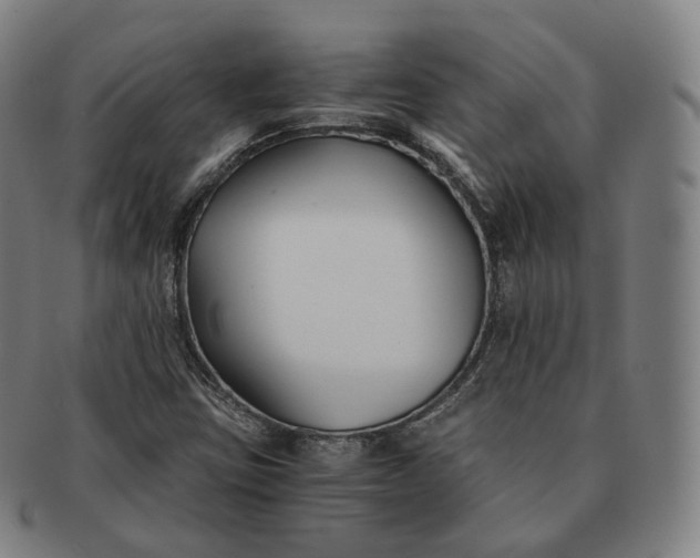 X0000091301403200708241041