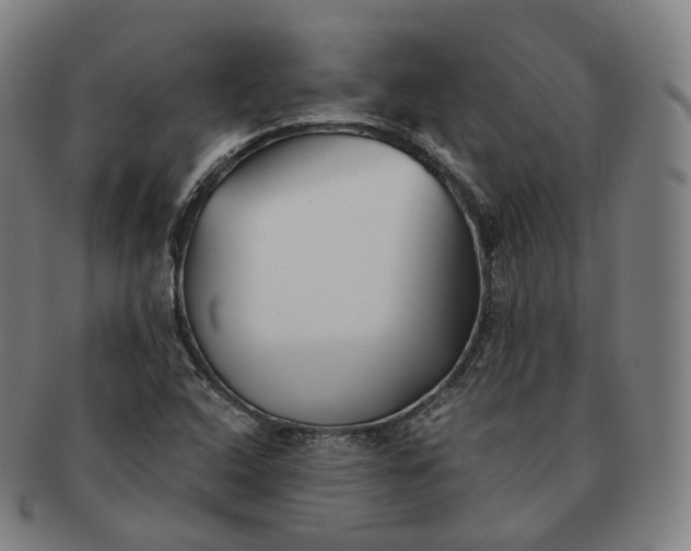 X0000091301408200708241041