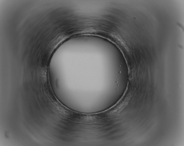 X0000091301409200708241041