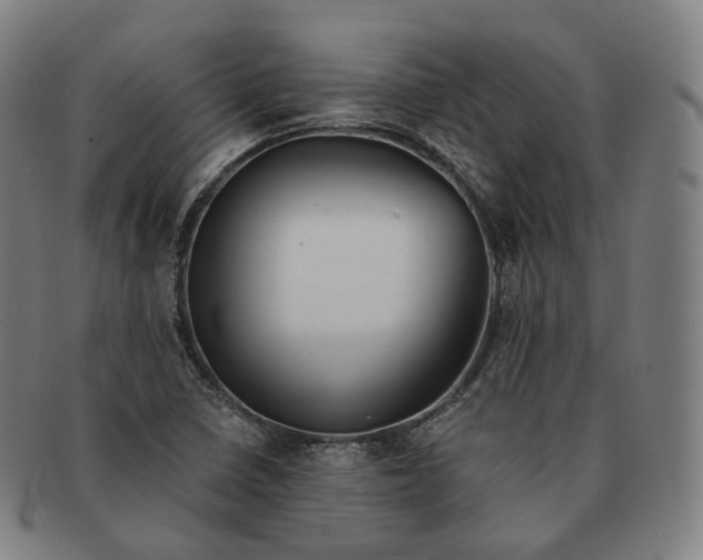 X0000091301410200708241041