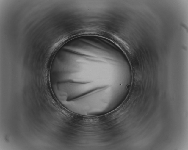 X0000091301411200708241041