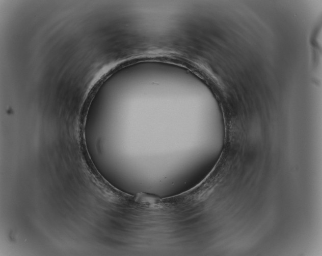 X0000091301412200708241041