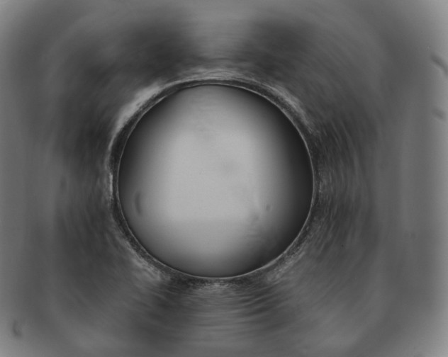 X0000091301414200708241041