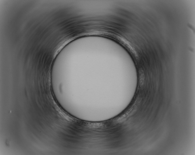 X0000091301417200708241041