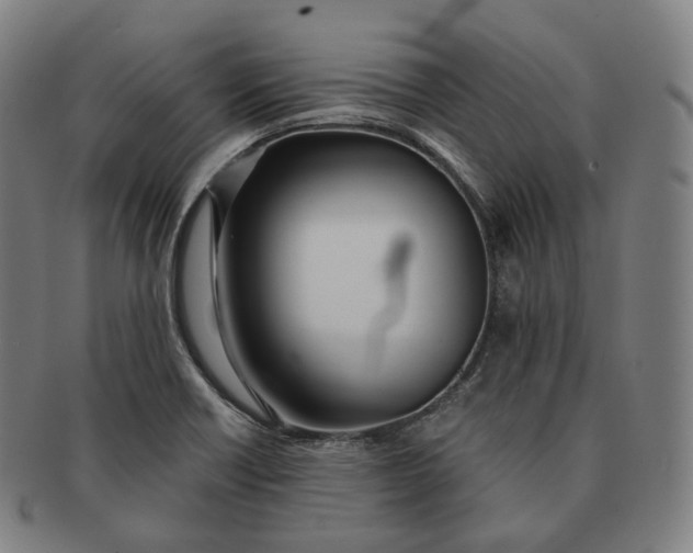 X0000091301418200708241041