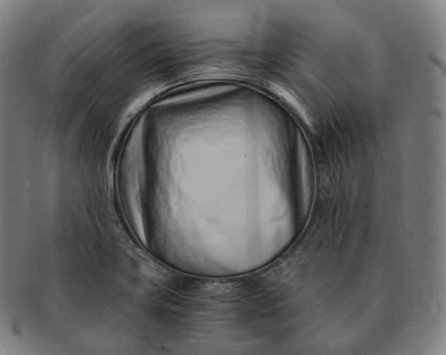 X0000091301419200708241041