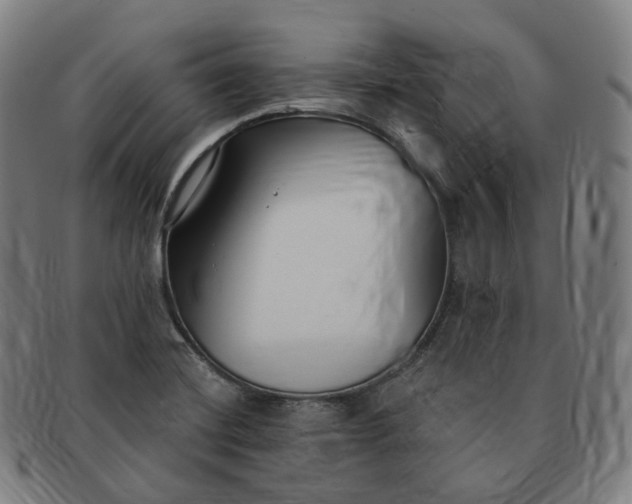 X0000091301420200708241041