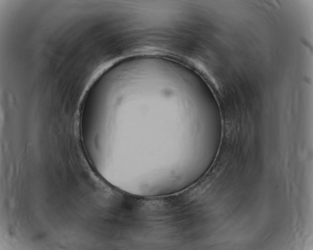 X0000091301421200708241041