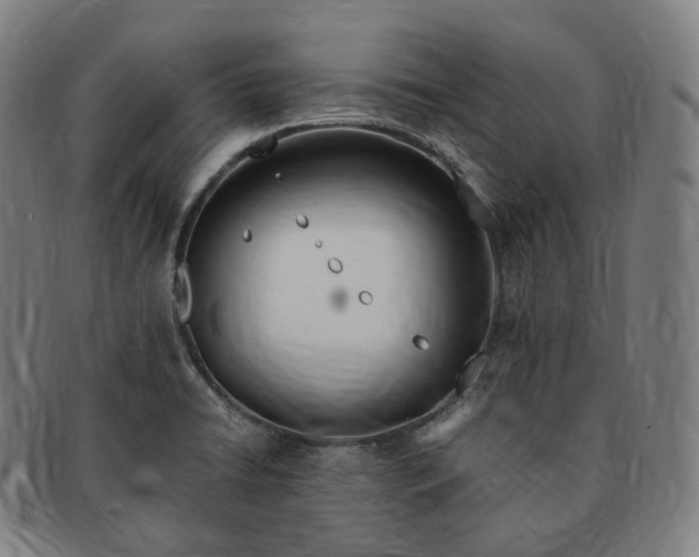 X0000091301422200708241041