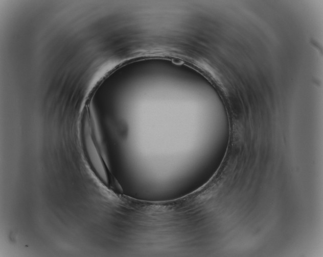 X0000091301424200708241041