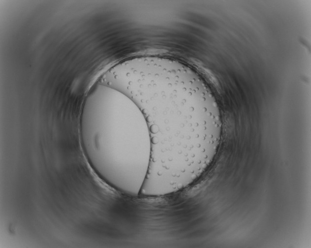 X0000091301425200708241041