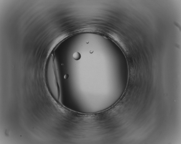 X0000091301426200708241041