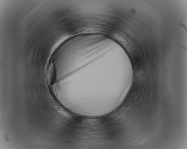 X0000091301427200708241041