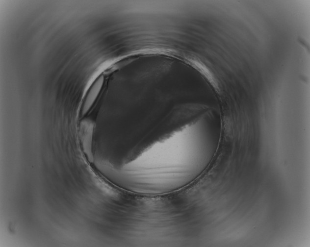 X0000091301428200708241041