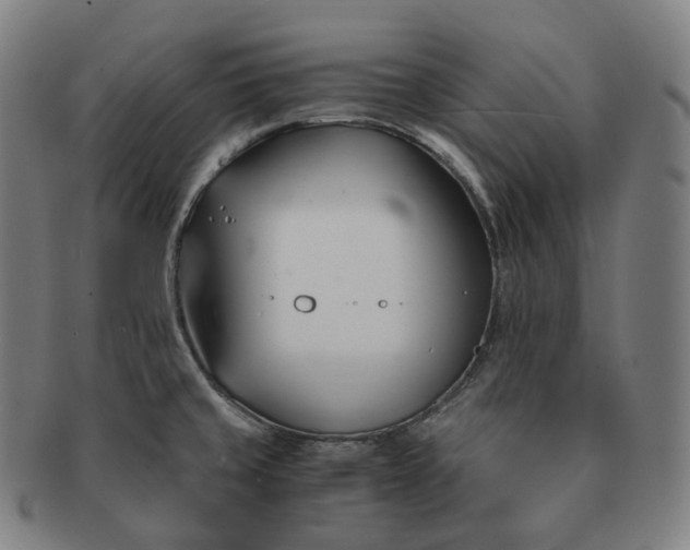 X0000091301429200708241041