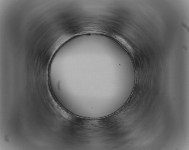 X0000091301431200708241041