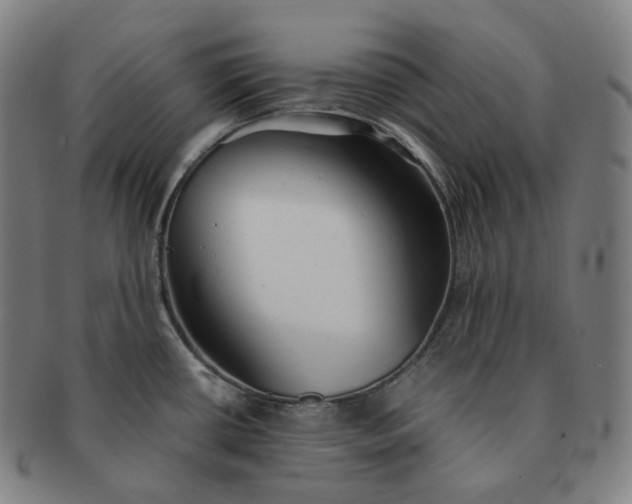 X0000091301434200708241041