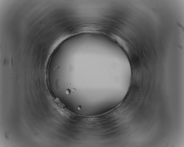 X0000091301435200708241041