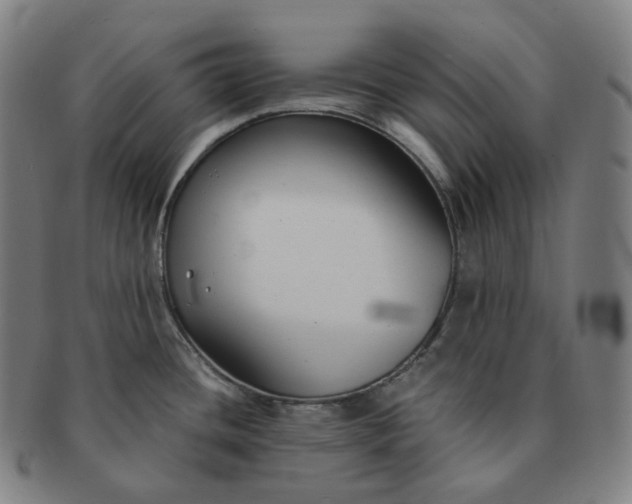 X0000091301436200708241041