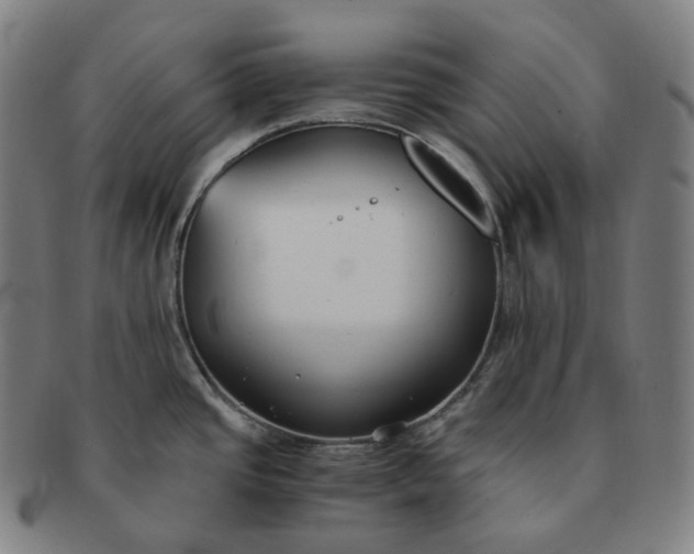 X0000091301437200708241041