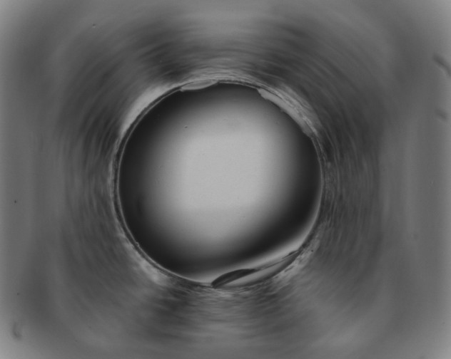 X0000091301438200708241041