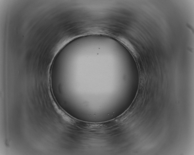 X0000091301439200708241041